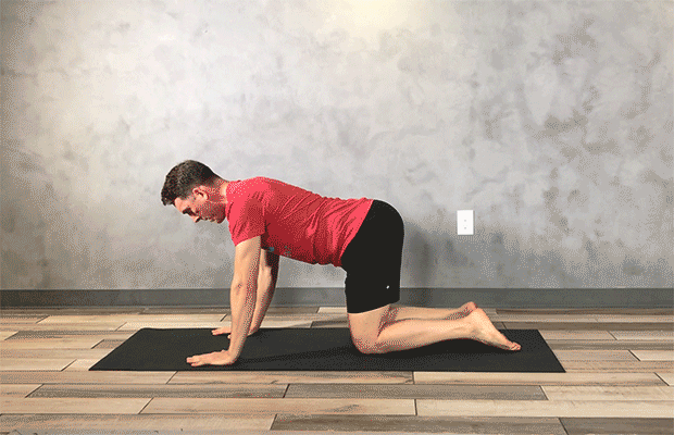 Core Exercises for Lower Back Pain: Bird Dog Core Exercises for Lower Back Pain: Bird Dog
