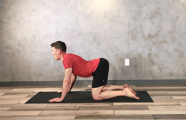 Core Exercises for Lower Back Pain: Segmented Cat-Camel Core Exercises for Lower Back Pain: Segmented Cat-Camel